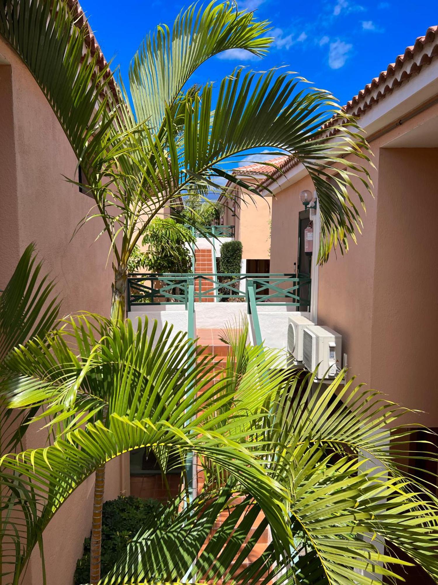 Paz Ocean View, Air Condition, Wifi, Heated Pool Сан Мигел де Абона Екстериор снимка